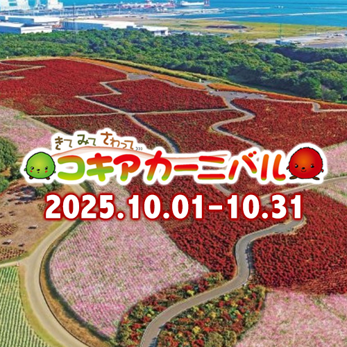 コキアカーニバル